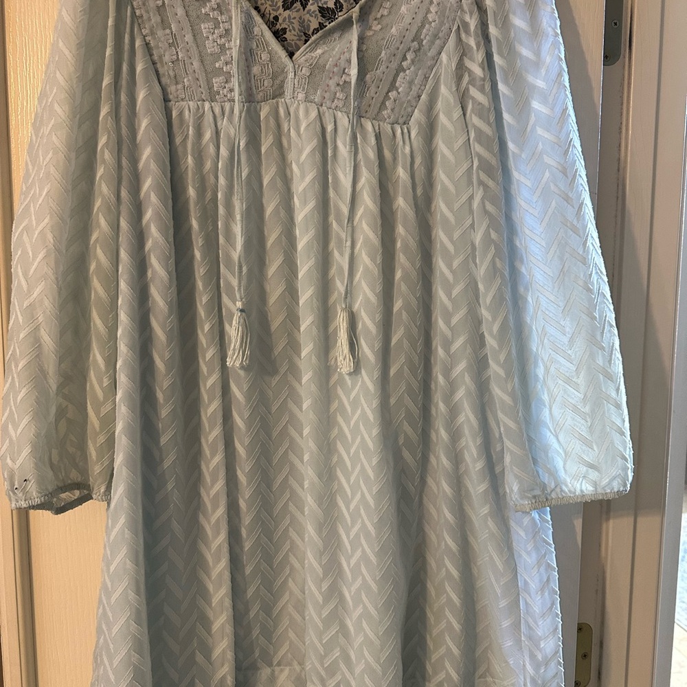 Anthropologie Light Blue Lace Detail Dress